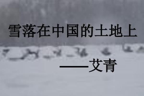 1991年出生的人:星辰变迁下的命运探索与人生轨迹 1991年出生的人:星辰变迁下的命运探索与人生轨迹