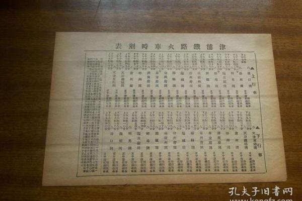 1987年火兔命:温暖与灵动交织的人生轨迹 1987年火兔命:温暖与灵动交织的人生轨迹