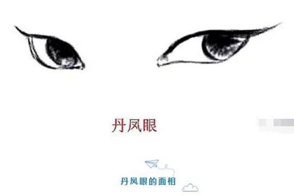 解码27岁人生:命理与运势的交汇点 解码27岁人生:命理与运势的交汇点