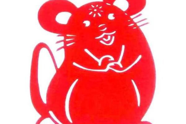 1992年属鼠人的命运与人生旅程揭秘 1992年属鼠人的命运与人生旅程揭秘