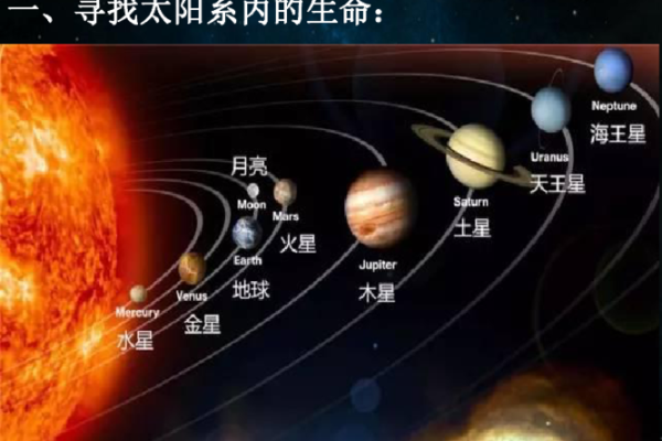 探索真命归源:寻找生命的真实方向与意义 探索真命归源:寻找生命的真实方向与意义