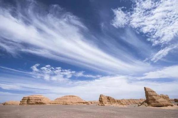 探索命运与殡葬行业的奇妙联系：如何找到适合自己的职业之路