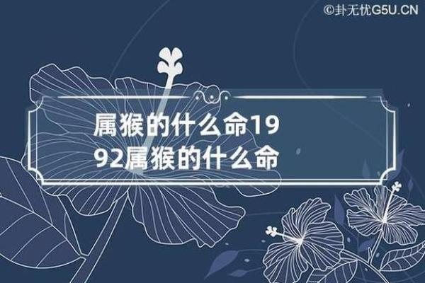 1993年属鸡的命运与性格特点分析 1993年属鸡的命运与性格特点分析