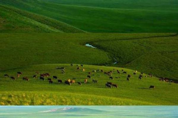 探索乖崖命杖之的命运奥秘:命理与人生的深度解析 探索乖崖命杖之的命运奥秘:命理与人生的深度解析