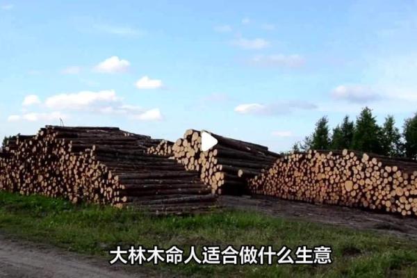 大林木命的人适合怎样的房子?风水和居住的完美结合 大林木命的人适合怎样的房子?风水和居住的完美结合