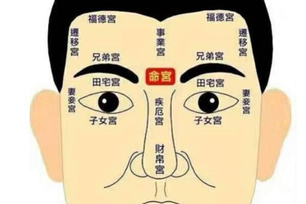 1993年正月12日出生的人生运势与性格特征探秘 1993年正月12日出生的人生运势与性格特征探秘