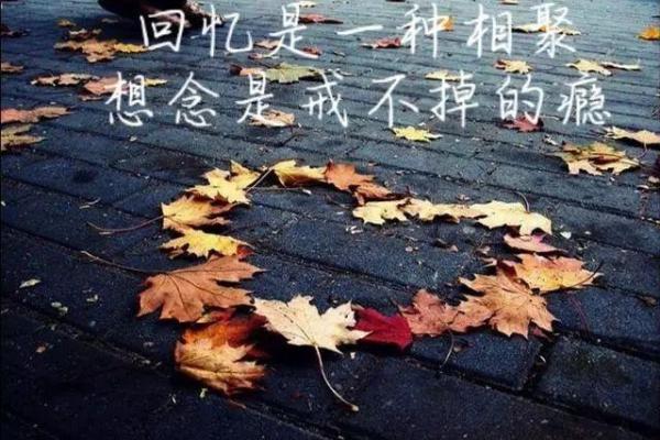 女人痴情与命格的关联：揭示背后的深意与情感逻辑