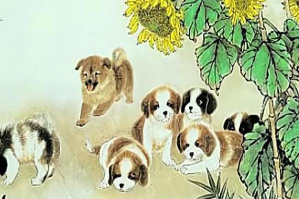 2006年属狗男孩的命运特点与人生指导 2006年属狗男孩的命运特点与人生指导