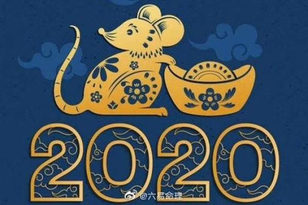 2020鼠年命理分析:如何弥补鼠年的不足,实现人生的全面发展 2020鼠年命理分析:如何弥补鼠年的不足,实现人生的全面发展