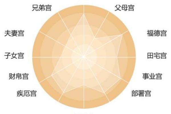 探索命格奥秘:如何通过APP了解你的命运与未来 探索命格奥秘:如何通过APP了解你的命运与未来