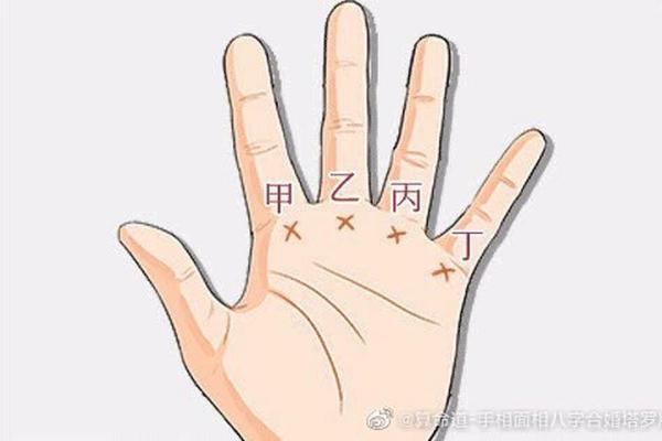 手指10锣：探寻独特命运之道