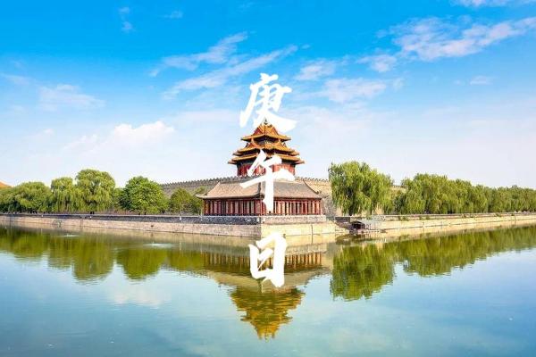 揭秘72年鼠年出生的人:命理特点与生活运势 揭秘72年鼠年出生的人:命理特点与生活运势