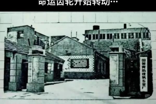 1987年:命运之年,探索八种独特的人生方向 1987年:命运之年,探索八种独特的人生方向