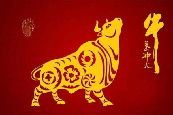 深入了解属牛人的命运与性格特征