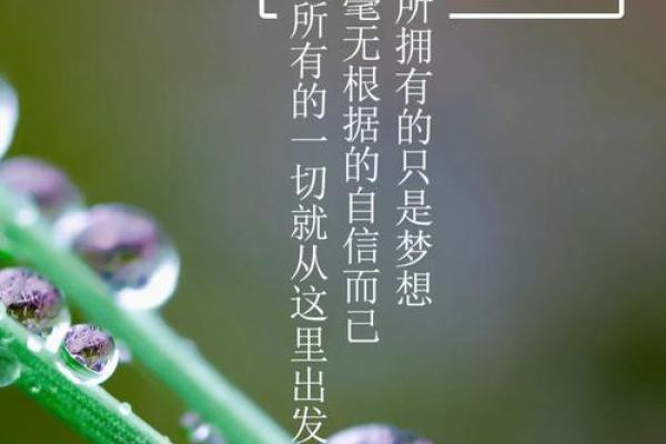 为何我们要等待搏命的结束，才能迎来新的开始？