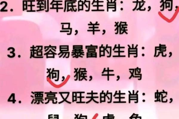 揭秘2023年：那些命带财星的生肖与命运之道