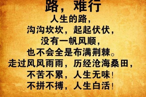1981年正月十九：命运的转折与人生的轨迹