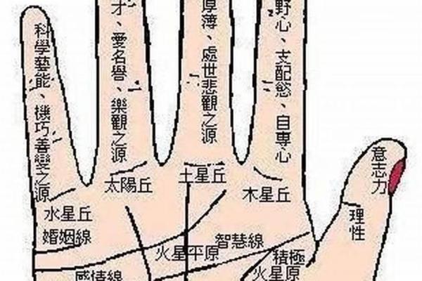 没有横财的人是什么命？揭示命运的深层次秘密！