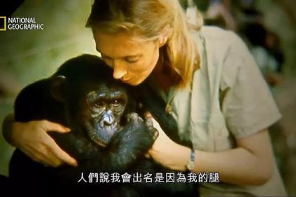有红胎记的人生：命运与机遇的交织之路