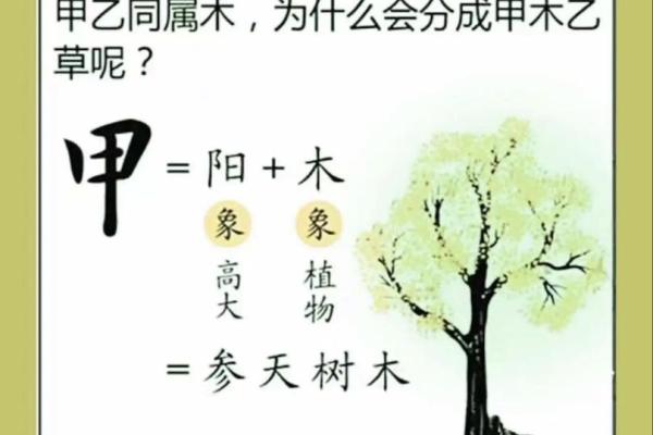 揭秘八字命理:什么样的八字代表木命? 揭秘八字命理:什么样的八字代表木命?