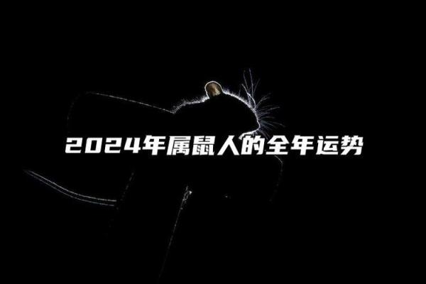 探秘60年鼠年命理：鼠年之人的独特命运与性格剖析