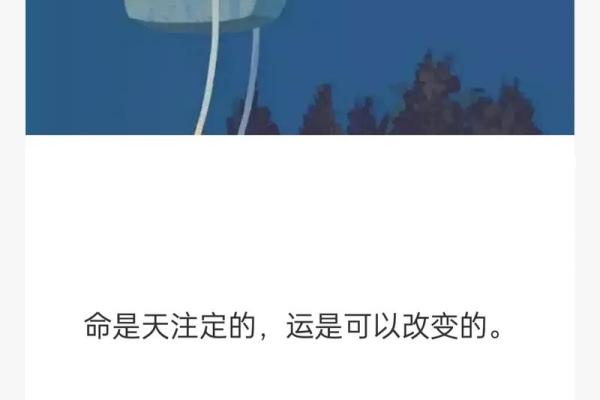 命与运：如何在命运的洪流中找到自己的方向
