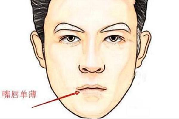 揭秘2001年正月十四出生者的命运与性格特征 揭秘2001年正月十四出生者的命运与性格特征