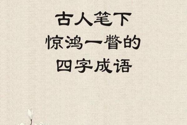 探索肖命成语的深奥意义与人生智慧 探索肖命成语的深奥意义与人生智慧