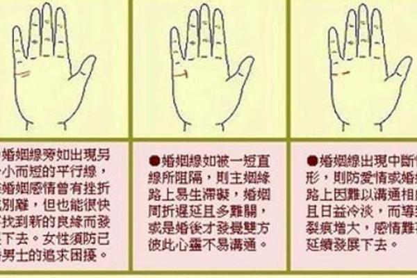手相揭秘：操心命与命运的巧妙关系