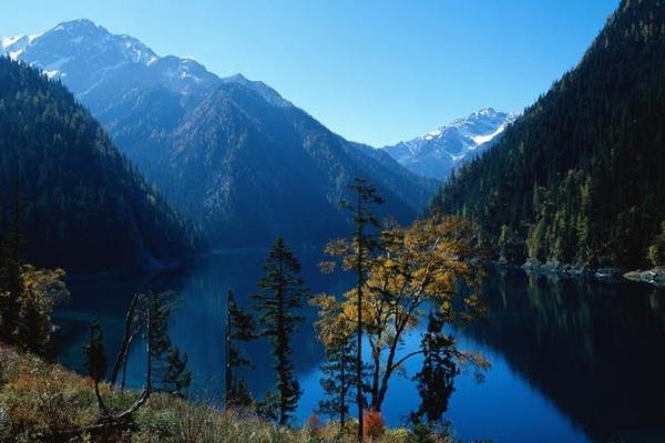 1981年属鸡,巳酉年命运与人生智慧的幸福之路 1981年属鸡,巳酉年命运与人生智慧的幸福之路