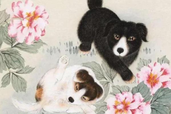 1982年:狗年里的命运与风采,属于你的生肖故事! 1982年:狗年里的命运与风采,属于你的生肖故事!