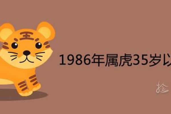 1986年属虎人的性格与命理探秘,开启你的好运之旅! 1986年属虎人的性格与命理探秘,开启你的好运之旅!