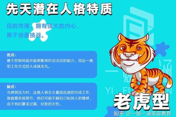 丁卯年出生的人命运解析：探索其潜在特质与人生道路