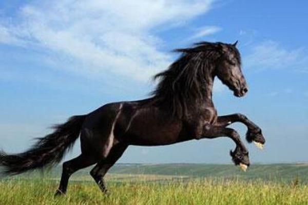 1988年冬月出生的命运解析:探索宿命与性格的奥秘 1988年冬月出生的命运解析:探索宿命与性格的奥秘