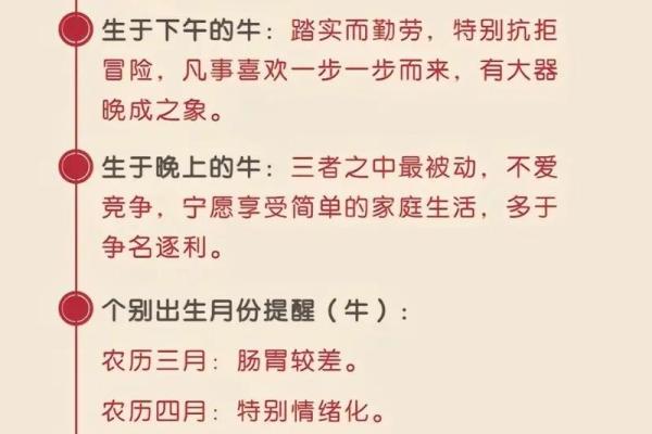 2023年是兔年,揭秘兔年出生者的命理与运势特征! 2023年是兔年,揭秘兔年出生者的命理与运势特征!