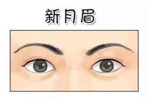 掉眉毛的人命运解析:揭开眉毛与命运的神秘关系 掉眉毛的人命运解析:揭开眉毛与命运的神秘关系