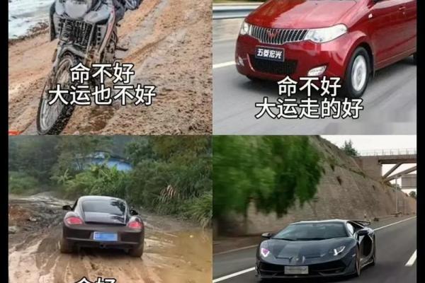 命运与机会：命有什么，运有什么的精彩人生交织