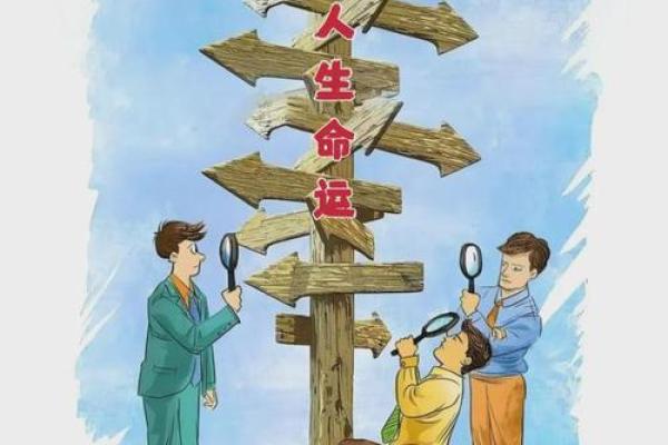 命运与机会：命有什么，运有什么的精彩人生交织