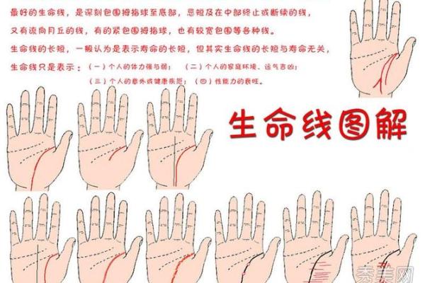 1972年出生的人生运势与命理解析 1972年出生的人生运势与命理解析