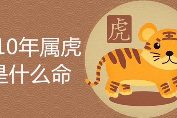 23属虎的人命运解析：揭示性格与人生轨迹的秘密