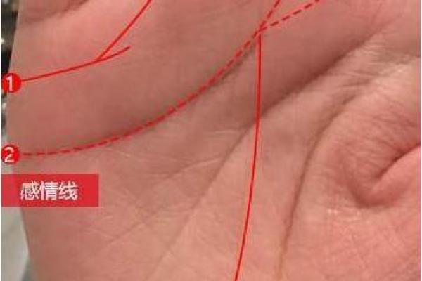 观音菩萨的慈悲与庇护：命中注定的女人缘分解读