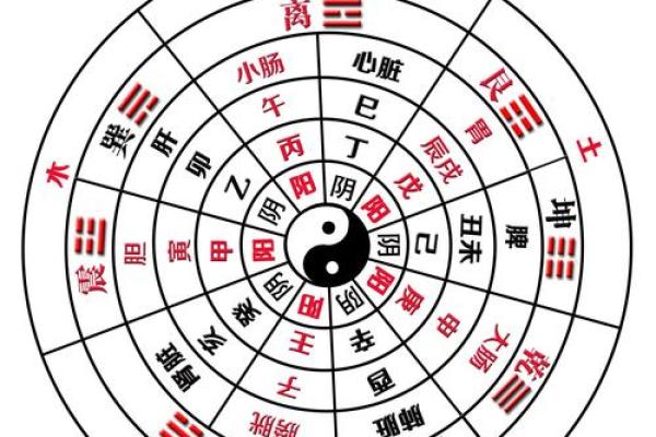 命理中的五行探秘：金木水火土如何影响我们的命运？