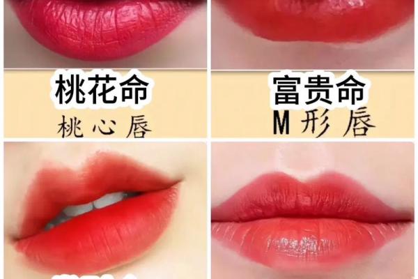 嘴型与命运：探究“根据人长什么嘴就什么命”的深层含义