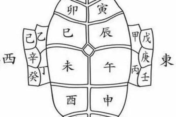 命理暗合中的动物象征：探寻人生与命运的奥秘