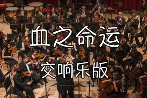 2001年10月：探索命运与生命的交响乐