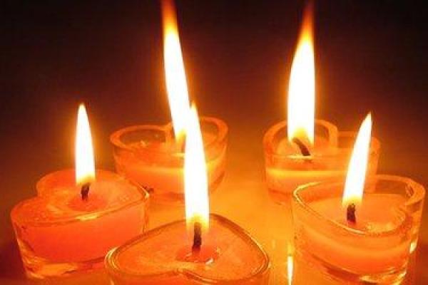 火命家庭植物选择:提升运势与和谐氛围的秘笈 火命家庭植物选择:提升运势与和谐氛围的秘笈