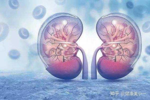 金和水命如何生育健康孩子的秘笈 金和水命如何生育健康孩子的秘笈