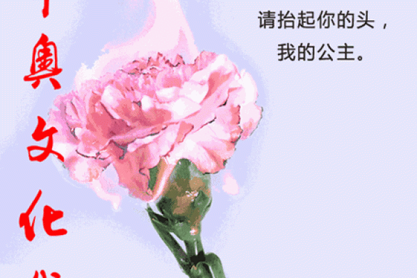 命番的深刻解读：不仅仅是数字背后的故事