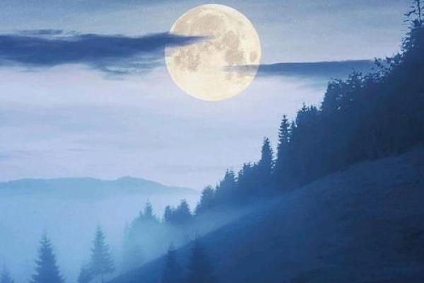 孤独命:深海中的一颗孤独明珠,探寻自我价值的旅程 孤独命:深海中的一颗孤独明珠,探寻自我价值的旅程