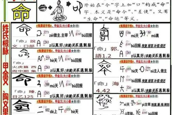 一命一命归天：生命的脆弱与珍贵